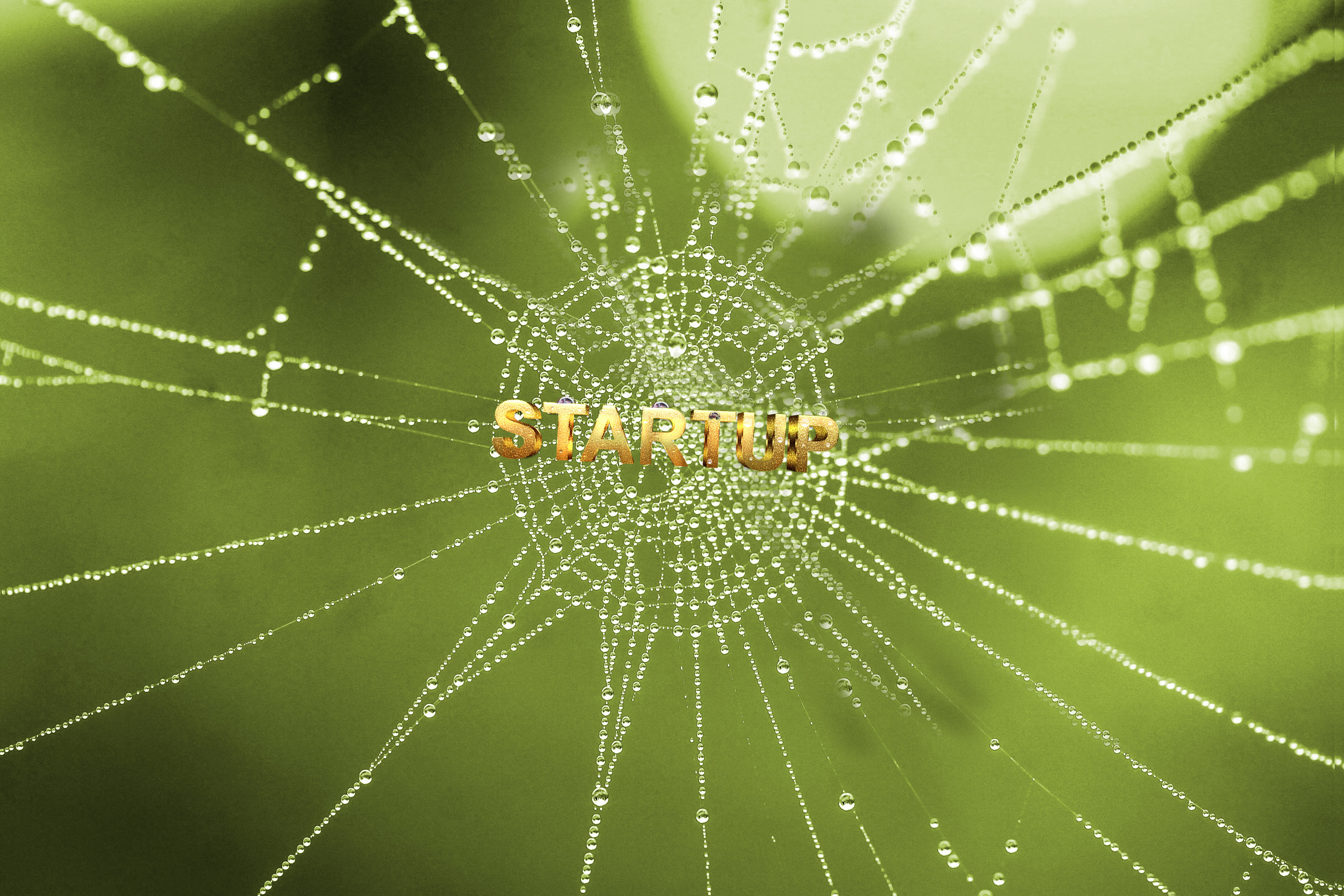 Startup Trap Concept Royalty-Free Images